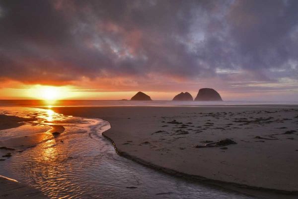 Oregon, Oceanside Sunset on Three Arch Rocks